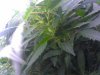 2011-12-26_20-01-56_876.jpg