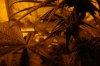 DSC02236.jpg