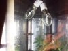 IMG_20110822_201916.jpg