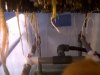 IMG00527-20111228-0123.jpg