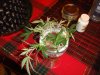 DSC04646.JPG