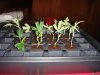 DSC04660.JPG