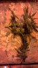 Cuttings used in microphotographs.jpg Cuttings used in microphotographs.jpg
