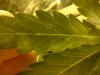 IMG-20111231-00614.jpg