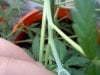 20120102170228.jpg 20120102170228.jpg
