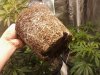 Resize_P01-02-12_21-171000035.jpg