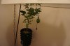 DSC00625.jpg
