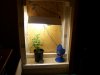 dresser grow box  project 040.jpg
