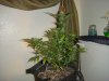 DSC04729.JPG