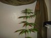 DSC04745.JPG