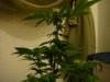 DSC04753.JPG