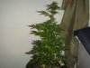 DSC04757.JPG