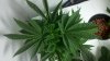 2012-01-04_08-21-30_368.jpg 2012-01-04_08-21-30_368.jpg