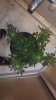 2012-01-04_15-39-23_698.jpg