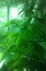 IMAG0081.jpg