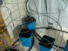 dry fit of pots and cages.jpg