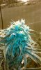 IMAG0221.jpg