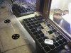 seeds germinating.jpg