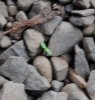 rocks5.jpg