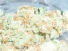 Agent Orange (7).JPG