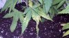 2012-01-07_16-16-17_296.jpg