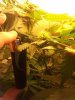 2012-01-10 11.59.19.jpg