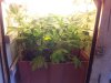 2012-01-10 11.57.46.jpg