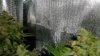 DSCF1681.jpg