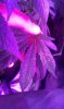 IMAG0178.jpg