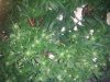 2012-01-11235134.jpg