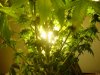 DSC01884.jpg