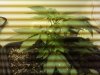 IMG_20120112_171001.jpg
