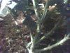 08-03-08_0120.jpg