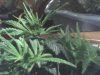 08-03-08_0117.jpg