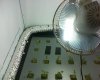 DSC00288.jpg