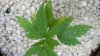 100_0487.jpg