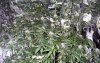 group_1_8_4_08_1.jpg