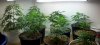 2012-01-08_16-59-27_782.jpg 2012-01-08_16-59-27_782.jpg