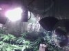 IMG_2012-01-12 15.46.26.446.jpg