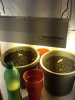 weedplants.jpg