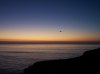 100_0475.jpg