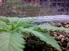 IMG-20120113-00052.jpg