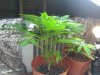 IMG_20120114_182458.jpg