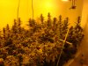 First Indoor Jan14 2012 002.jpg