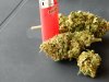 KushBerry Buds.jpg