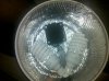 IMG_20120115_150531.jpg