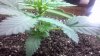 2012-01-16_11-57-26_924.jpg