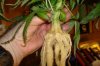 DSC02578.jpg