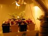 DSCN4773.JPG DSCN4773.JPG