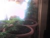 DSC00007.jpg DSC00007.jpg